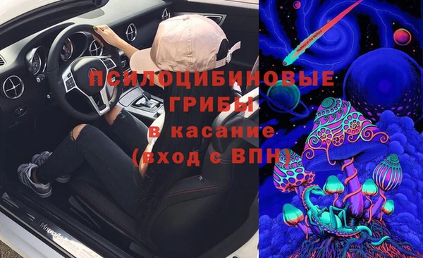 СК Волосово