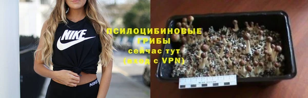 СК Волосово