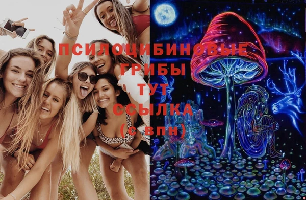 СК Волосово
