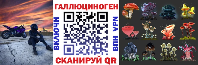 Псилоцибиновые грибы Cubensis  Кингисепп 